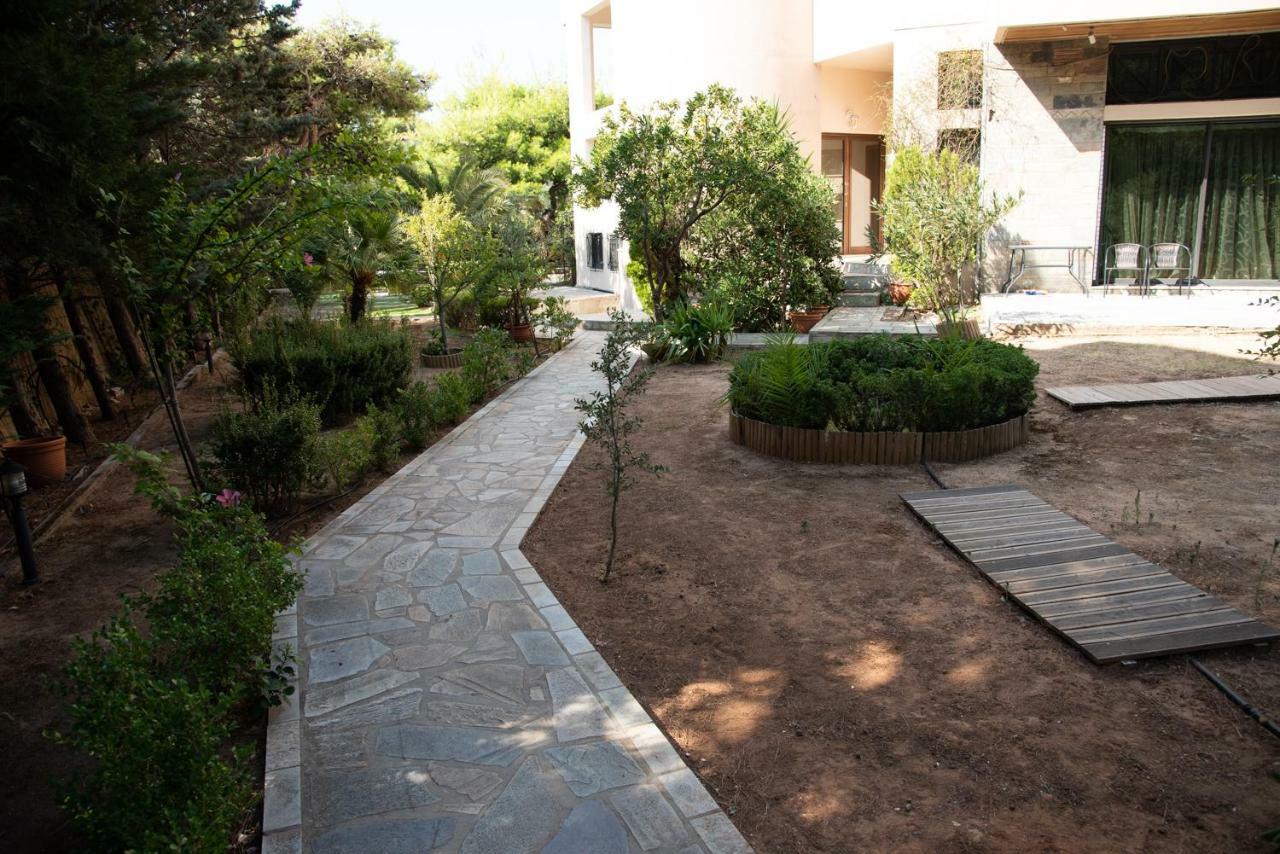 Cozy Loft 360O View Of Athens Apartment Bagian luar foto